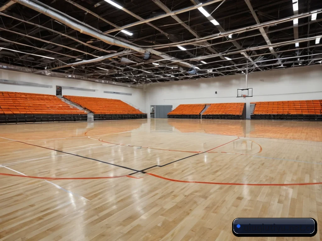 五大体育板块覆盖,从比分到直播全覆盖
